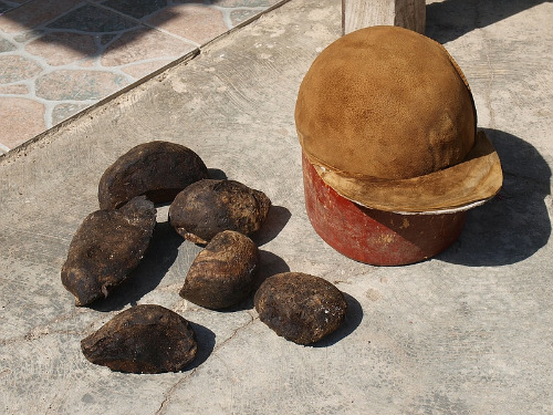 Zunderschwammkerne und Hut
