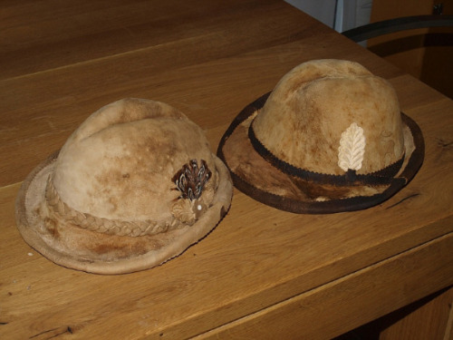 Zunderhüte